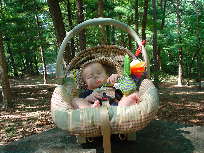 Click to popup fullsize image