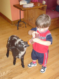 Click to popup fullsize image