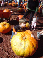 Click to popup fullsize image