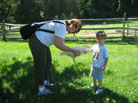 Click to popup fullsize image