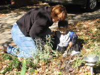 Click to popup fullsize image