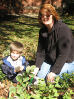 Click to popup fullsize image