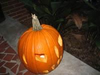 Click to popup fullsize image