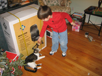 Click to popup fullsize image