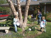 Click to popup fullsize image