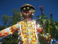 Click to popup fullsize image