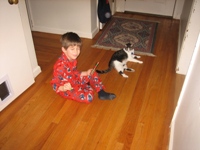 Click to popup fullsize image