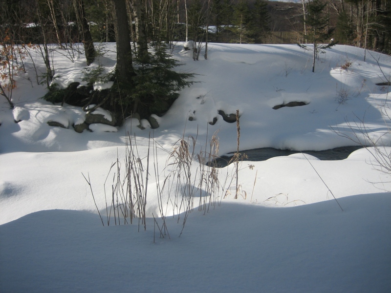 Click to popup fullsize image