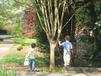 Click to popup fullsize image