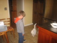 Click to popup fullsize image