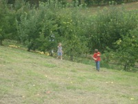 Click to popup fullsize image