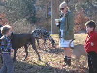 Click to popup fullsize image