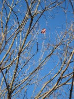 Click to popup fullsize image