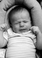 Click to popup fullsize image